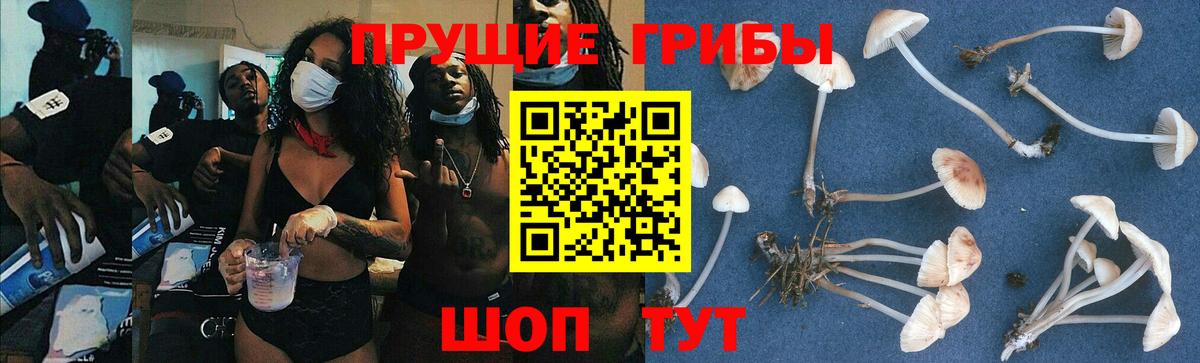 Галлюциногенные грибы GOLDEN TEACHER Жигулёвск